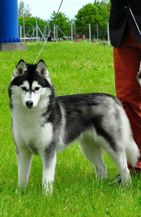 Click the photo to enlarge