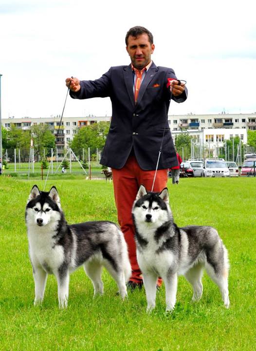 Click the photo to enlarge