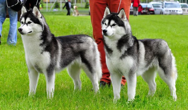 Click the photo to enlarge